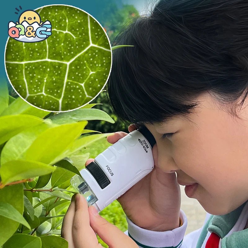 Microscope Enfants 120X – Kit d'Exploration - TopMyShop