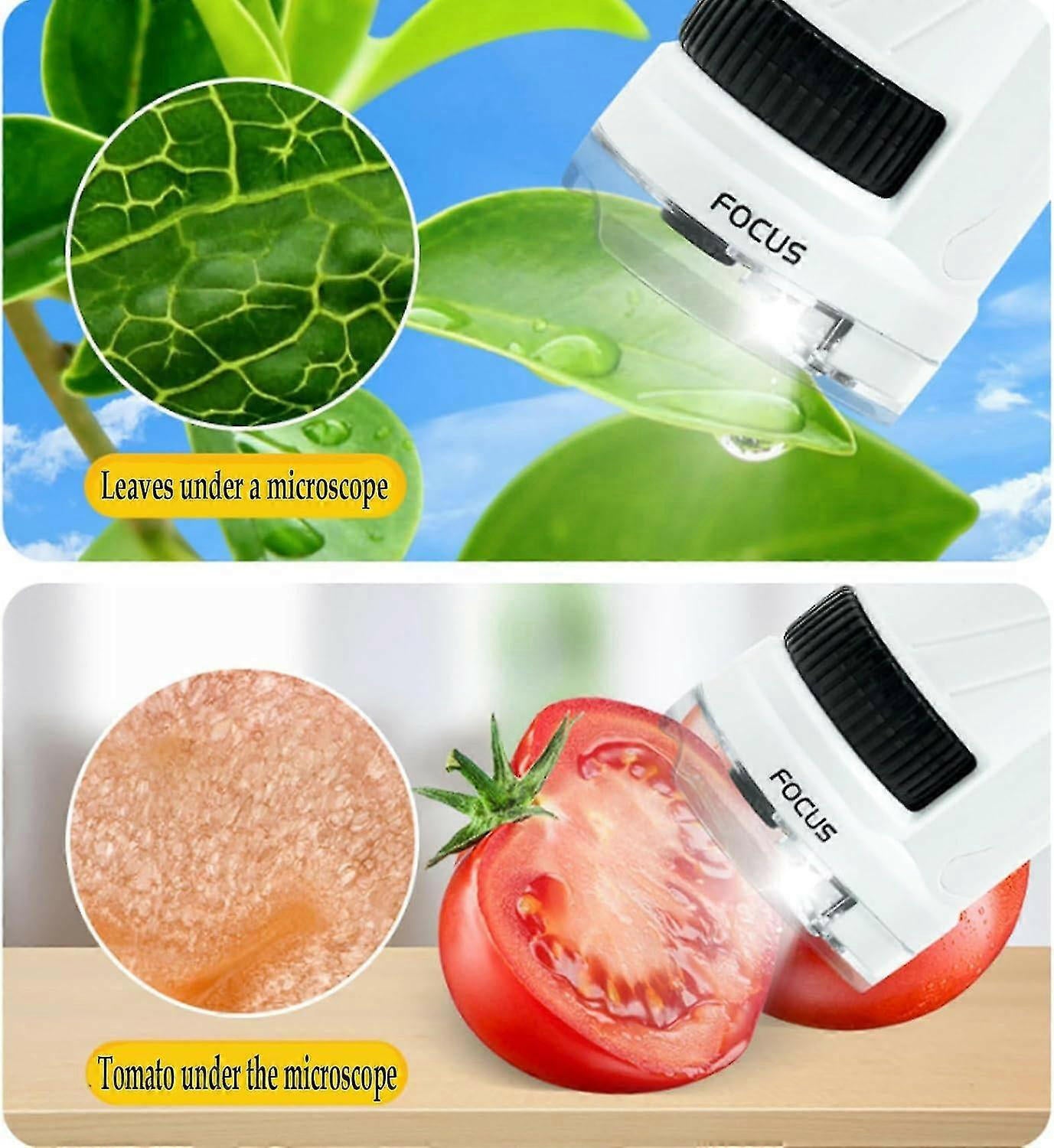 Microscope Enfants 120X – Kit d'Exploration - TopMyShop